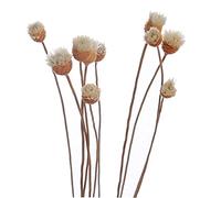 Ruluti 20 Pcs/Set Diffuseur Bâtons en Rotin Flower Bud Rose Remplacement Recharge Bâtons en Rotin pour Huile Essentielle Diffuseur pour La Maison Chambre À Coucher Salle De Bain