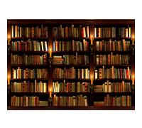 Runa Art Papier peint intissé Bibliothèque 352 x 250 cm Toison Mur XXL Tableaux Muraux Tapisserie Photo Décoration Murale Salon Chambre marron 9058011a