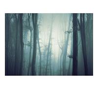 Runa Art Papier peint intissé forêt brouillard 352 x 250 cm Toison Mur XXL Tableaux Muraux Tapisserie Photo Décoration Murale Salon Chambre bleu 9291011a