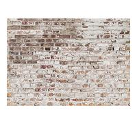 Runa Art Papier peint intissé mur de pierre 352 x 250 cm Toison Mur XXL Tableaux Muraux Tapisserie Photo Décoration Murale Salon Chambre Marron, blanc, 9083011c