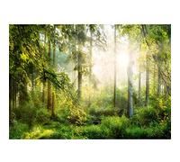 Runa Art Papier peint intissé soleil forêt 352 x 250 cm Toison Mur XXL Tableaux Muraux Tapisserie Photo Décoration Murale Salon Chambre Vert jaunâtre 9176011a