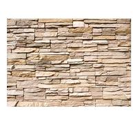 Runa Art Papier peint intissé Steinwand effet 3D 352 x 250 cm Toison Mur XXL Tableaux Muraux Tapisserie Photo Décoration Murale Salon Chambre marron 9019011b