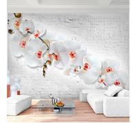 Runa art Papier Peint Intissé Tapisserie Mur de Fleurs D'orchidée308x220 cm (6,8 M2) - 7 Bandes Faciles à Coller 9323010c