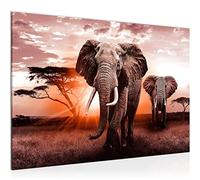 Runa Art Tableau mural Afrique L'Éléphant Moderne Tableau Decoracion Murale - Panorama Gris Orange Salle 007615b