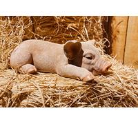 RUNADI Hi- Line Gift 87686-A Statue de Cochon endormi