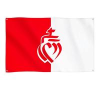 Runesol Drapeau Vendée, 91x152cm, 3ft x 5ft, 4 œillets, œillet dans chaque coin, Département vendéen, Sacré-Cœur, drapeaux de qualité supérieure, intérieur, extérieur, couleurs vives