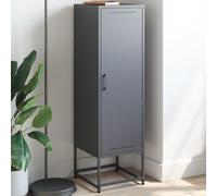 Runheo Buffet Haut en Acier Anthracite 36x39x123 cm avec Porte, Rangement spacieux pour Salon Chambre Bureau, Meuble Armoire Robuste décor Industriel Fonctionnel