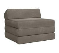 Runheo Canapé-lit Pliable Gris Clair en Velours, Convertible 2-en-1 canapé et Matelas 200 x 70 x 10 cm, déhoussable avec Mousse Confortable, idéal pour Salon séjour Chambre Bureau