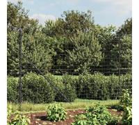 Runheo Clôture en treillis métallique anthracite 1,6x10 m acier galvanisé avec piquets fixation pour jardin terrasse balcon séparation occultant durable