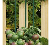 Runheo Lot de 30 supports de plantes, verts, 180 cm, en acier avec revêtement en polypropylène, idéal comme tuteur et tige de tomate pour jardin, balcon et serre, convient aux tomates, concombres