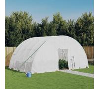 Runheo Serre avec cadre en acier - Blanc - 24 m² - 6 x 4 x 2,85 m - Tente en film résistant aux intempéries - Avec porte enroulable et fenêtres en filet - Pour la culture des légumes et la protection