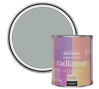 Rust-Oleum Peinture Grise Résistante à la chaleur pour Radiateur, Finition Brillante -Gris Minéral 750ml