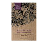 Rutabaga 'Gelbe Wilhelmsburger' à collet vert (Brassica napus) env. 100 semences