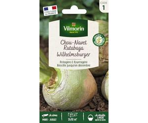 Rutabaga Wilhelmsburger (à Collet Vert) - Légumes d'Autrefois