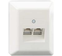 Rutenbeck UAE 2x8(8) Ap rw Prise réseau montage apparent (en saillie) insert