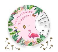 RXLITE Kit premium de 10 Cartes d'Invitation Anniversaire Tropical avec Atelier Créatif - Cartes Rondes Thème Flamant Rose, Idéales pour Filles et Garçons, Design Original et Ludique