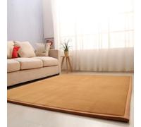 RxueSug Tapis de Jeu en Velours Corail Chambre Enfant, Tapis de Jeu pour bébés, en Velours Corail, 2 cm d'épaisseur, pour Ramper et Jouer, Tapis de Jeu antidérapant Tapis de Tatami 160 x 160 cm