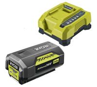 RYOBI Kit Batterie et Chargeur RY36BC17A-140 – Batterie 36V Lithium+ 4,0 Ah et Chargeur rapide