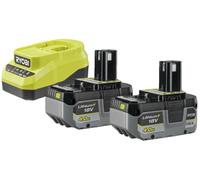 Ryobi One+ 2 batteries de 4,0 Ah + chargeur RC18120A-240X