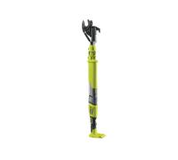 Ryobi Taille-haies sur batterie - Vert
