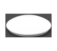 RZB RZB Couvercle de rechange PMMA op-mt D=360mm 08-311161.012 Quantité:1