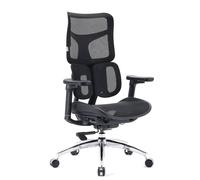 S100-M301 | Sihoo - Siège de bureau de qualité professionnelle Noir