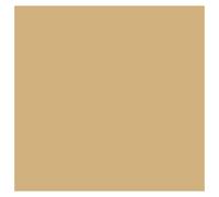 Sable Fonce 123 / 843 Pot De Peinture Acrylique 17ml - Prince August