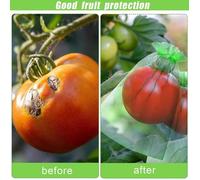 Sac de protection des fruits - VVIKIZY - 100PCS - Réutilisable - Respirant - Protection contre les insectes