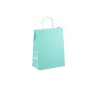Sacs boutique kraft poignées torsadées vert d'eau 30 x 23 x 12 cm - 50 sacs
