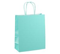 Sac magasin kraft poignées torsadées vert clair 18 x 8 x 22 cm - Paquet de 50