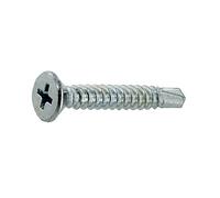Sachet 10 vis tôle autop TF 4,8x32 mm - VYNEX - 310178019949