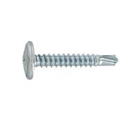 Sachet 13 vis tôle autop TC EMB 4,2x25 - VYNEX - 310178019843