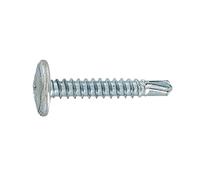 Sachet 14 vis tôle autop TC EMB 4,2x19 mm - VYNEX - 310178019842