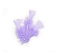 Sachet de 20 Plumes 10 cm
