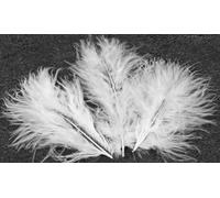 Sachet de 20 plumes 10 cm