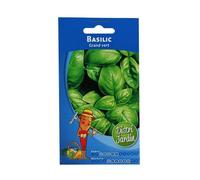 Sachet De Graines Basilic Grand Vert