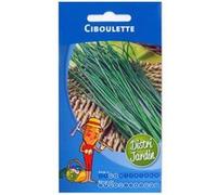 Sachet de graines de ciboulette herbes aromatiques