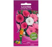 Sachet de graines de fleurs lavatère