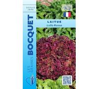 Sachet de graines de Laitue à couper Lollo Rossa - 3 g - légume feuille - LES GRAINES BOCQUET