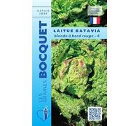 Sachet de graines de Laitue batavia blonde à bords rouge-4-4 g - légume feuille - LES GRAINES BOCQUET