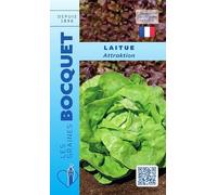 Sachet de graines de Laitue d'été Attraktion - 4 g - légume feuille - LES GRAINES BOCQUET