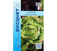 Sachet de graines de Laitue d'été du bon jardinier - 4 g - légume feuille - LES GRAINES BOCQUET