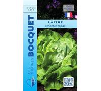 Sachet de graines de Laitue d'été Kinemontepas - 4 g - légume feuille - LES GRAINES BOCQUET