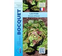 Sachet de graines de Laitue d'hiver Brune d'hiver - 4 g - légume feuille - LES GRAINES BOCQUET