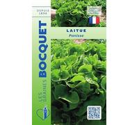 Sachet de graines de Laitue Panisse - 2 g - feuille légume - LES GRAINES BOCQUET