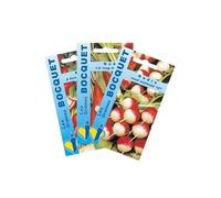 Sachet de graines de Lot de Radis aux Formes Variées (3 sachets de graines à semer) - 30 g - LES GRAINES BOCQUET