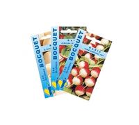 Sachet de graines de Lot de Radis Ronds (3 sachets de graines à semer) - 30 g - légume racine - LES GRAINES BOCQUET