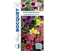 Sachet de graines de Salpiglossis à grande fleur varié - 0,8 g - fleur annuelle - LES GRAINES BOCQUET
