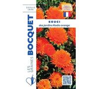 Sachet de graines de Souci des jardins Radio orange - 3 g - fleur annuelle - LES GRAINES BOCQUET
