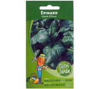 Sachet de graines d'épinard